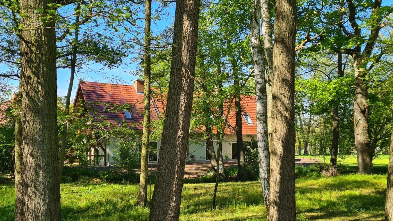 Vierseitenhof Appartements Burg  Luaran gambar